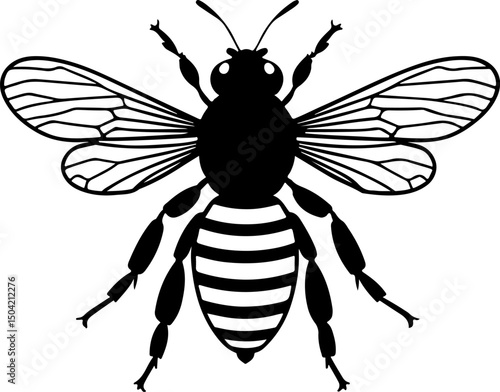 Majestic Honey Bee Silhouette: Detailed Design for Nature, Pollination, and Garden-Themed Crafts & Decor