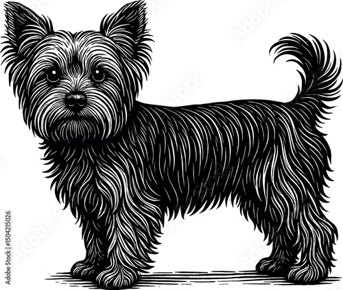 Yorkshire Terrier vector black silhouette print design