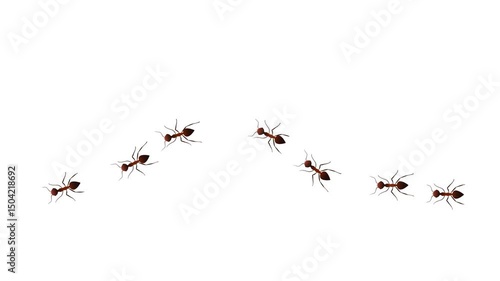 Ant insects randomly crawling green screen white Background animation. Ant trail column. insect silhouettes trip. Teamwork, hard work. Set line target sport