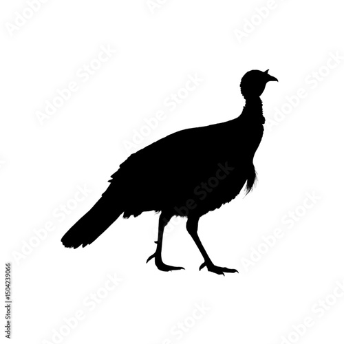 Collection of silhouettes of farm animals -  turkey, Animals side view. Illustration on transparent background 
