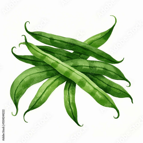Organic Rhythm: Chlorophyll Wash green beans isolated watercolor vector illustration svg