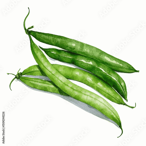 Crisp Pigment: Garden Flow green beans isolated watercolor vector illustration svg