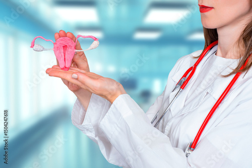 Female uterus in hands. Wom...