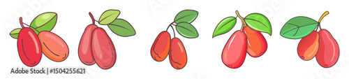 miracle fruit icon, miracle fruit line art - simple line art of miracle fruit, perfect for miracle fruit logos and icons