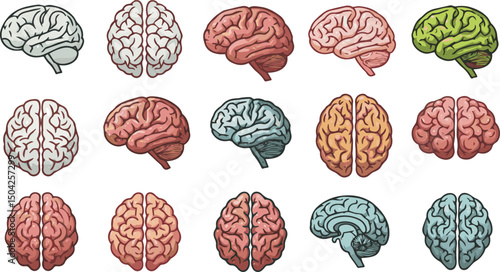 Create a kinds of Human brain icon, brain in different style, Vector art with white background.