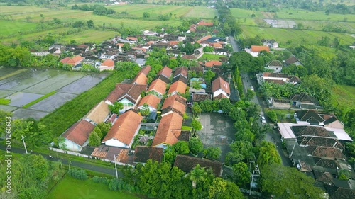 A junior high school building is located next to a stretch of lush green rice fields, with red-roofed houses and shady trees.