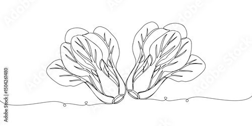 Continuous one line drawing of broad leaf pak choi, depicting Asian vegetable and its mild flavor, line art style vector illustration.