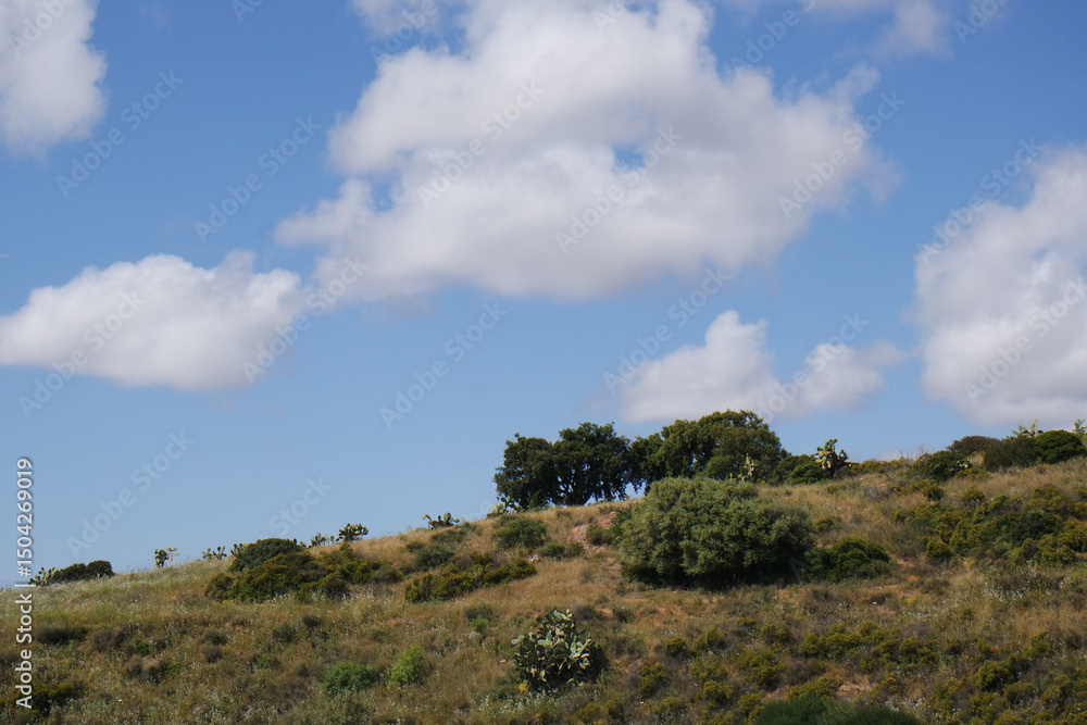 Obraz premium Natura