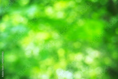 新緑と光をぼかした緑の背景素材