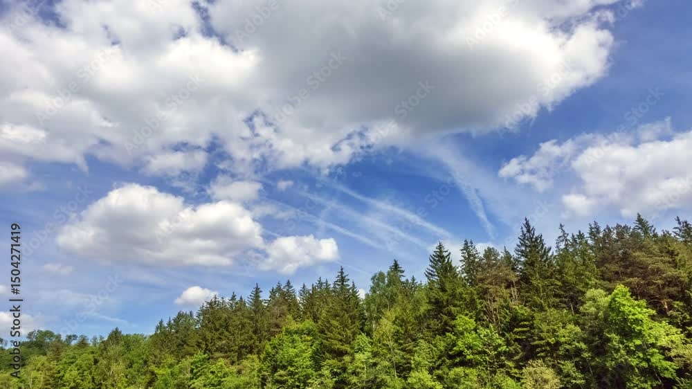 Timelapse with cirrus and cumulus clouds in different heights drifting over a forest under blue sky with shifting sunlight and shadows. Dynamic nature scene showing changing light over green woodland Timelapse with cirrus and cumulus clouds in different heights drifting over a forest under blue sky with shifting sunlight and shadows. Dynamic nature scene showing changing light over green woodland