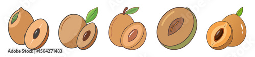 sapodilla fruit icon, sapodilla fruit line art - simple line art of sapodilla fruit, perfect for sapodilla fruit logos and icons
