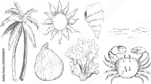 summer vacation. Elements of Fruits and Flowers. Vector Illustration, black vector single palm tree icon silhouette, 