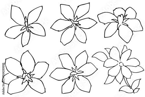 シンプルなクチナシの花のイラスト線画素材　ベクター