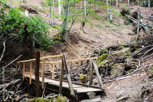 Wallpaper Mural Rustic Wooden Bridge Crossing Forest Stream With Natural Stone And Moss In Wilderness Hiking Trail Torontodigital.ca