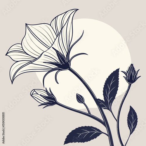 vector illustration of a flower