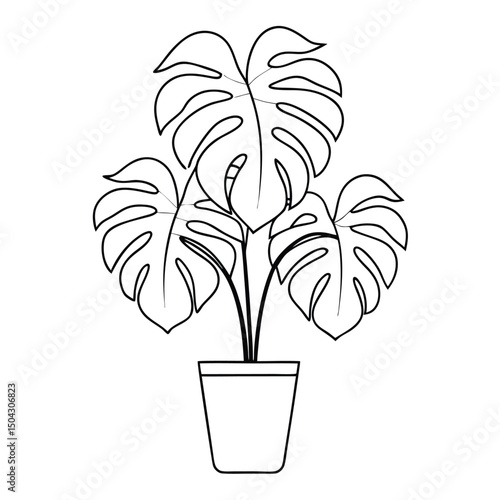 Potted monstera tropical houseplant decor illustration. plant, pot, leaf, tree, nature, flower, growth, isolated.