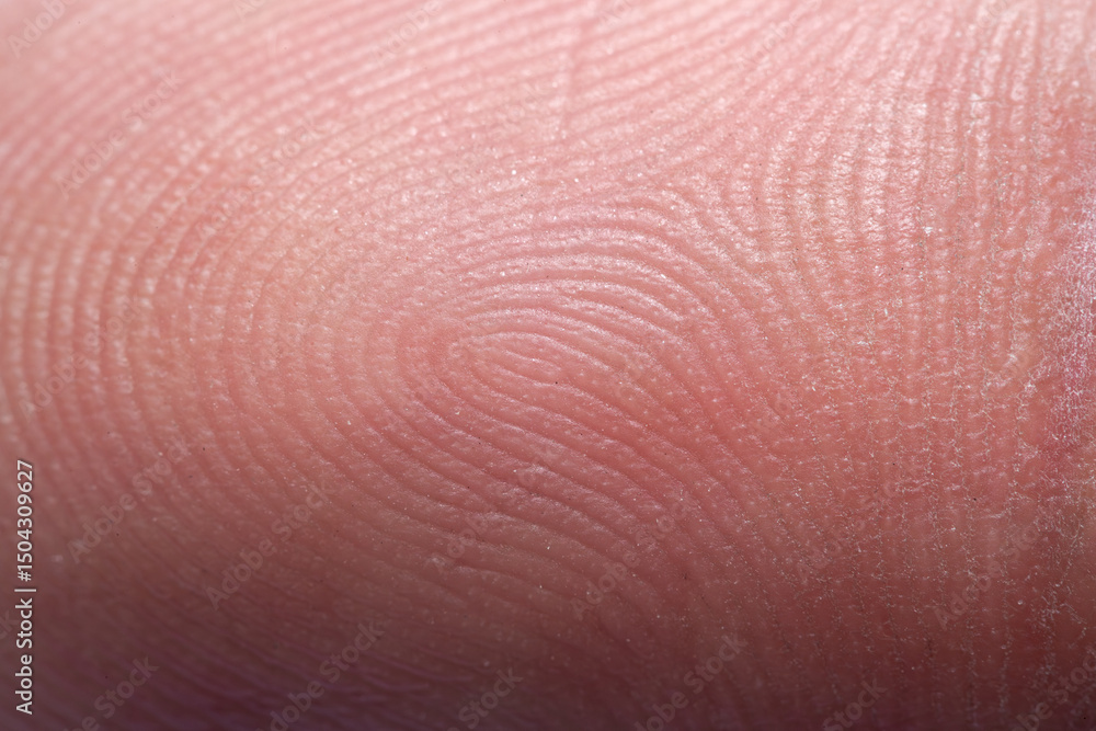 Fototapeta premium Close-up macro fingerprint,Fingerprint - extremely close up micro-photography