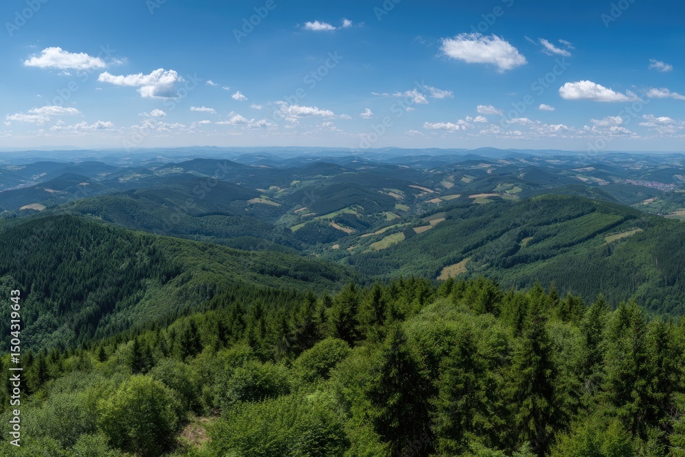 Expansive Forest Canopy Under a Summer Sky Expansive Forest Canopy Under a Summer Sky
