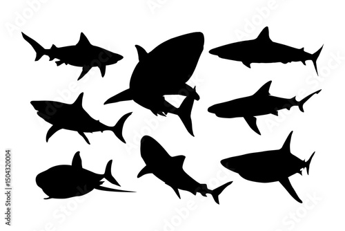 shark silhouette collection for design