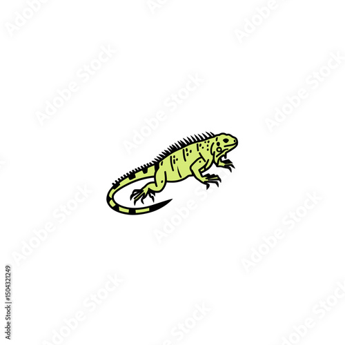 Lizard reptile walks calmly isolated studio white background vector