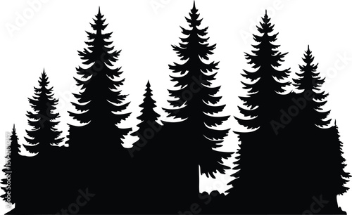 Several coniferous trees stand silhouetted against the plain background, creating a natural forest scene, on transparent background