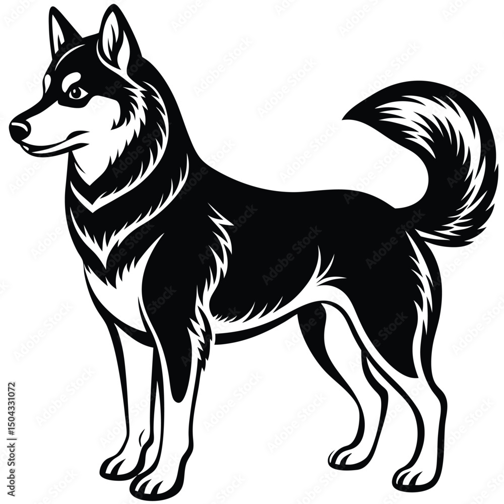 silhouette of siberian husky with ears upright and alert silhouette of siberian husky with ears upright and alert
