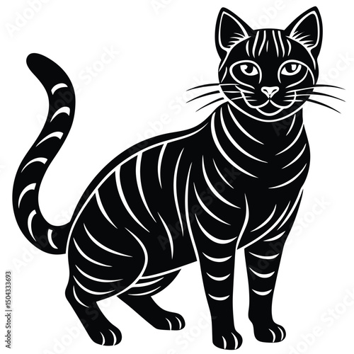 silhouette of american shorthair cat with round face