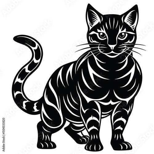 silhouette of american shorthair cat with distinctive features