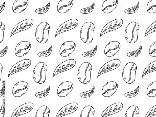 Hand-drawn vector illustration featuring coffee beans and coffee leaves in a clean black and white line art style. This minimalist doodle design is perfect for coffee packaging, café branding