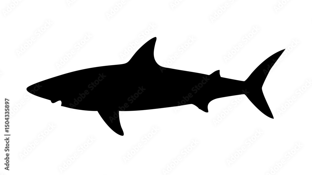 Fototapeta premium shark vector illustration