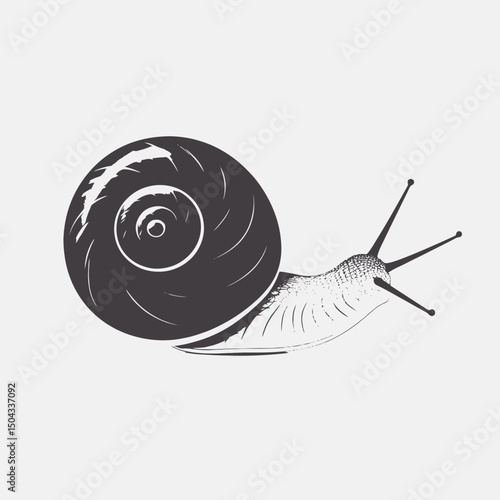 Snail illustration black and white snail shell animal mollusk nature wildlife invertebrate slow crawling garden silhouette