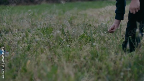 Wallpaper Mural mother and child picking chamomile flowers Torontodigital.ca