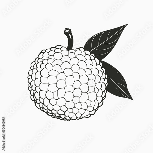 Illustration of sugar apple fruit sweetsop annona squamosa with leaves botanical art drawing design silhouette