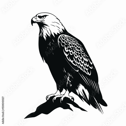Eagle illustration black and white bird of prey animal wildlife predator nature flying freedom bald eagle silhouette