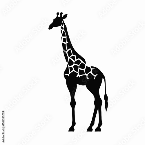 Giraffe animal wildlife mammal africa safari zoo nature tall black silhouette illustration design graphic
