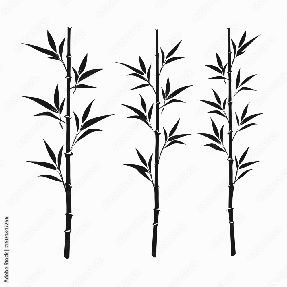Obraz premium Bamboo illustration zen design asian plant oriental nature japanese garden chinese forest foliage art vector