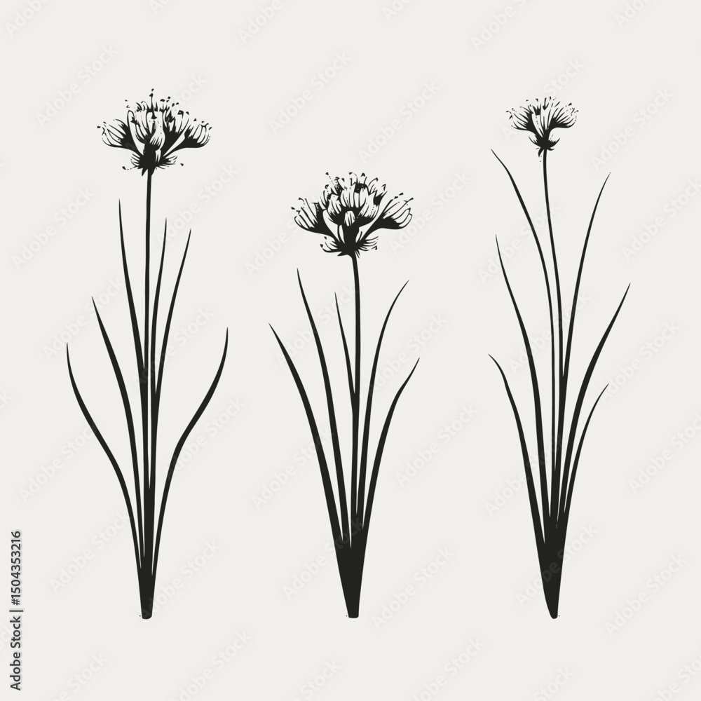 Obraz premium Black flowers floral botanical illustration monochrome drawing minimalist elegant plant design botanical art print