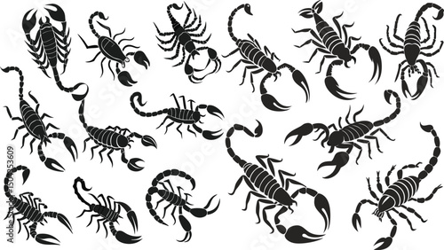 A scorpion with its tail raised silhouette design vector art and illustration