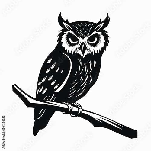 Owl bird animal wildlife nature branch night predator nocturnal raptor art illustration design vector