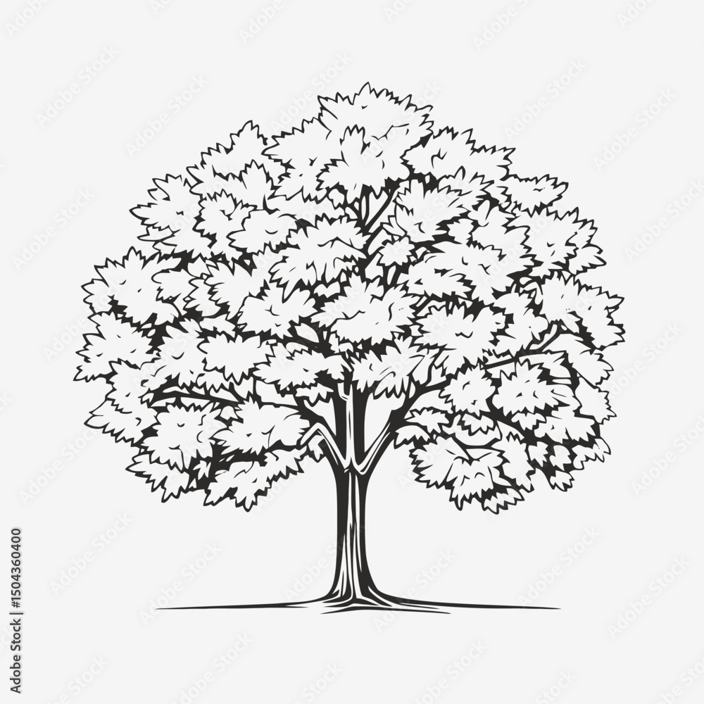 Fototapeta premium Tree drawing sketch outline black and white nature plant foliage forest botanical garden park landscape silhouette
