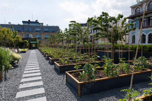 Organic Agriculture on the Building Terrace, vegetables are grown in large pots