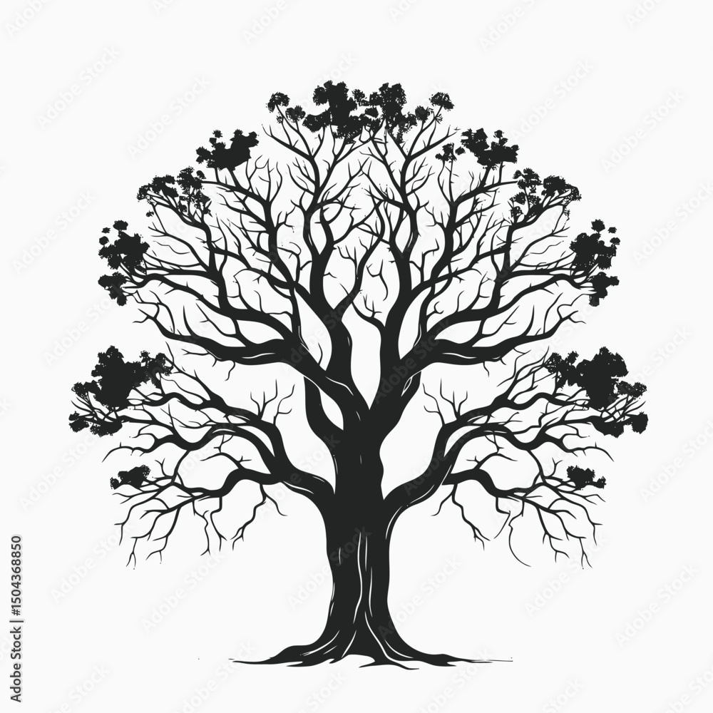 Fototapeta premium Black tree silhouette vector illustration nature design art graphic element isolated background drawing woodland