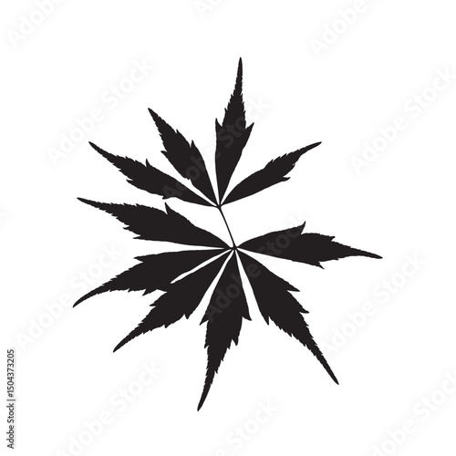 Maple leaf vector silhouette of a green cannabis plant with natural herbal medicine symbols