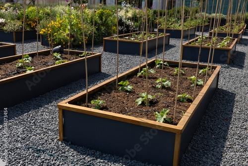 Organic Agriculture on the Building Terrace, vegetables are grown in large pots