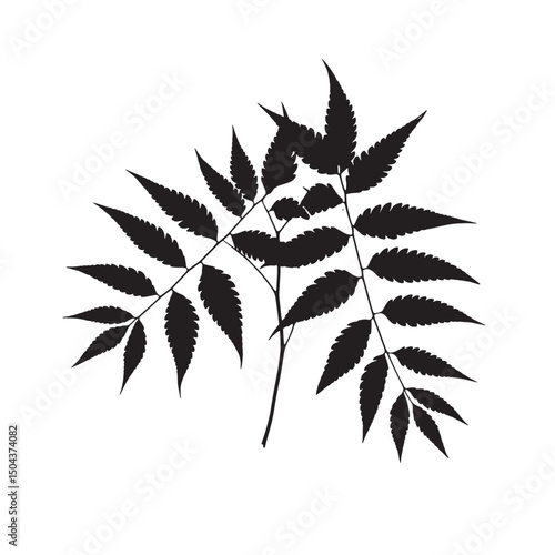 White isolated green marijuana leaf silhouette symbol for natural medicine