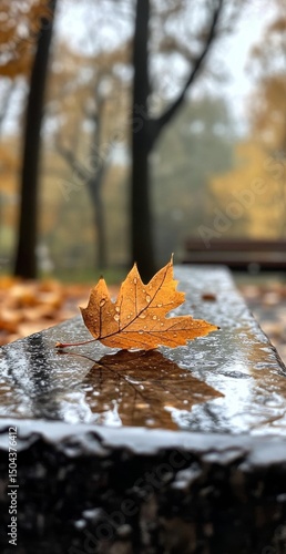 Autumn Leaf Rests on Wet Surface in Park While Rain Falls Softly During Tranq...