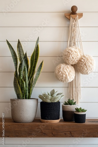 Stylish Indoor Plants and Decorative Elements on a Wooden Shelf in a Modern L...