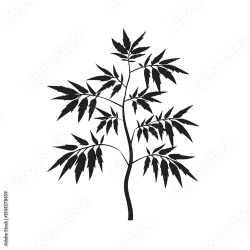 Black vector silhouette of a bamboo tree with delicate leaves, illustrating the essence of Asian flora and natural forest design