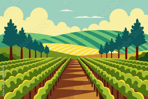 lush vineyard under the summer sun  rows of grapev