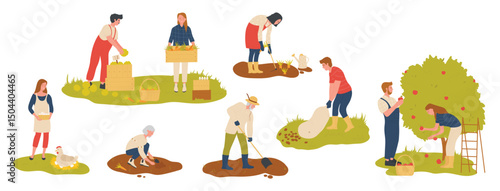 Local farm production of organic food, farming and agriculture set. Agricultural works of farmers, people grow vegetables, pick garden fruits, sell harvest at farm market cartoon vector illustration
